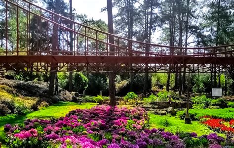 baguio botanical garden directory|Baguio Botanical Garden .